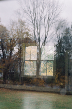 reflection photo of woodland room